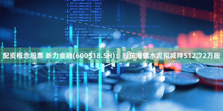 配资概念股票 新力金融(600318.SH)：股东海螺水泥拟减持512.72万股