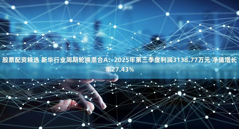 股票配资精选 新华行业周期轮换混合A:2025年第三季度利润3138.77万元 净值增长率27.43%