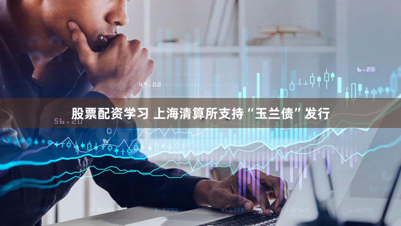 股票配资学习 上海清算所支持“玉兰债”发行