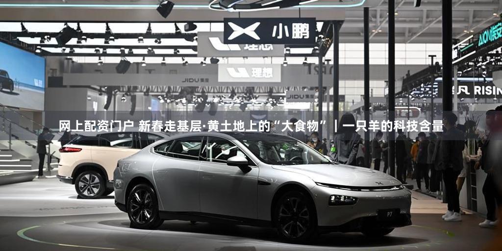 网上配资门户 新春走基层·黄土地上的“大食物”｜一只羊的科技含量