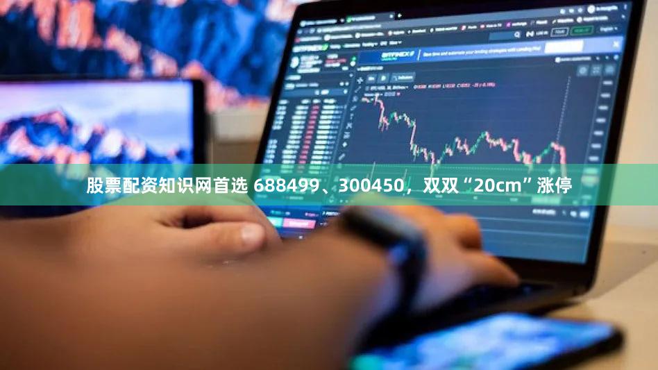 股票配资知识网首选 688499、300450，双双“20cm”涨停